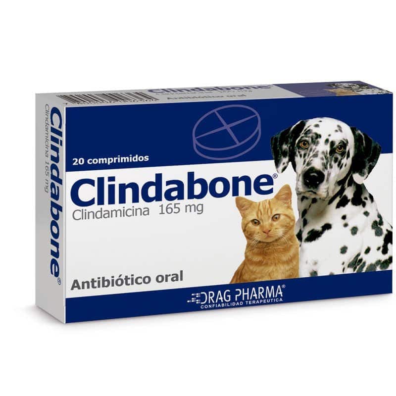 Clindabone®