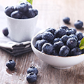 Freeze-Dried Blueberry Lollipops for Dogs