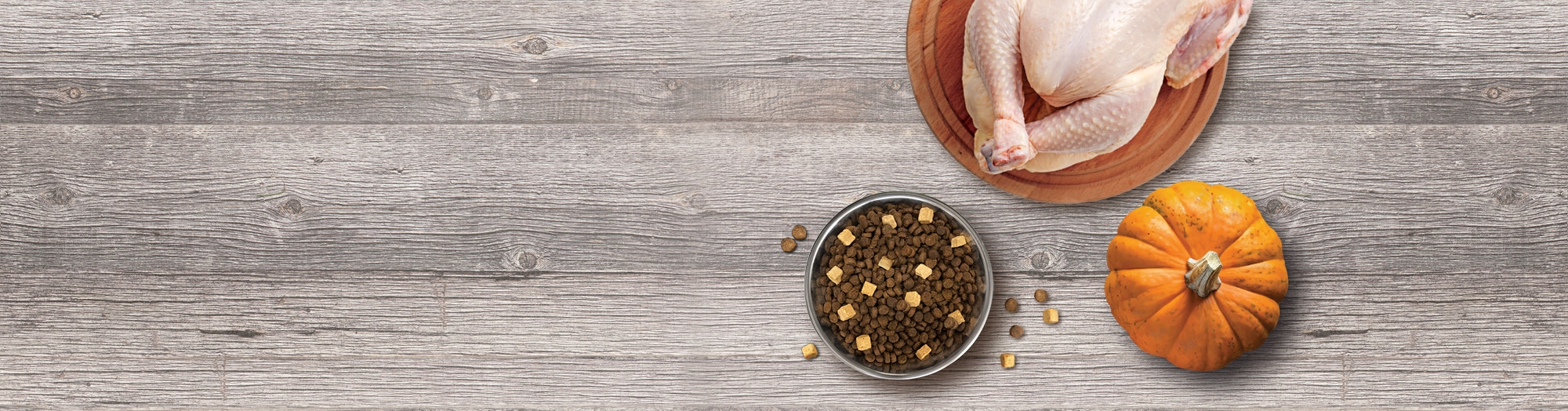 Turkey & Pumpkin <br> Limited Ingredient <br> Cat Food