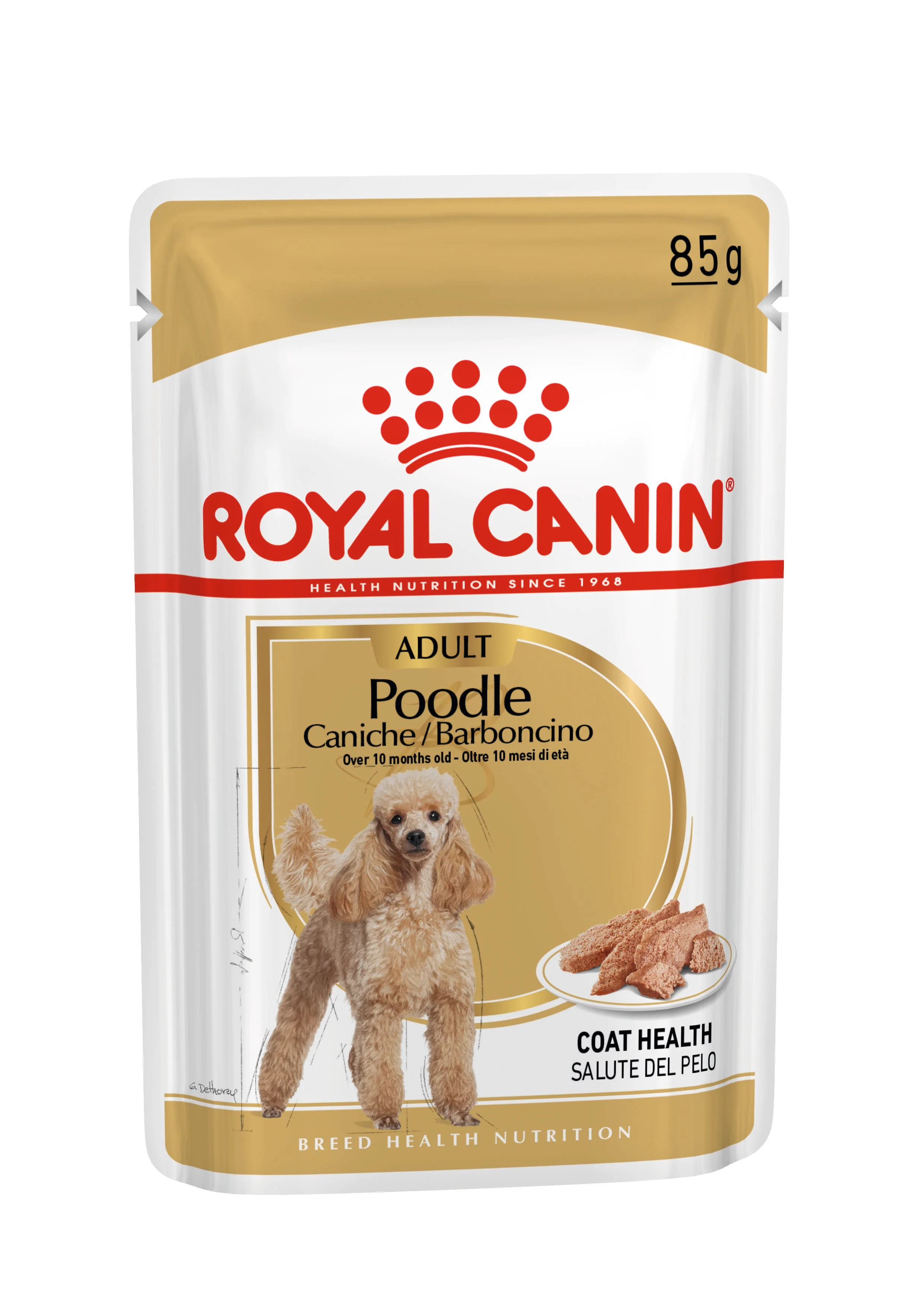Poodle Alimento Húmedo