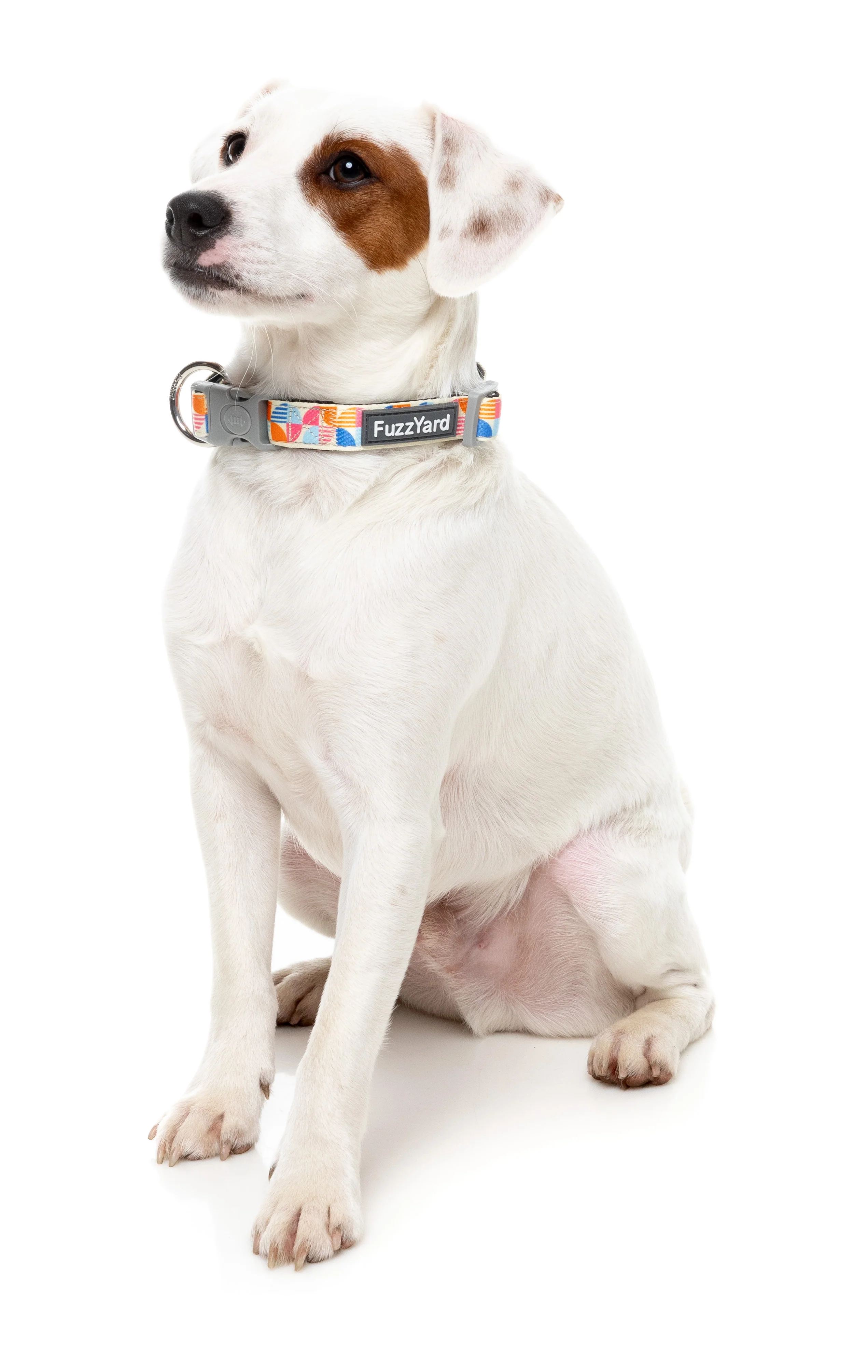 Fresh Zest - Dog Collar