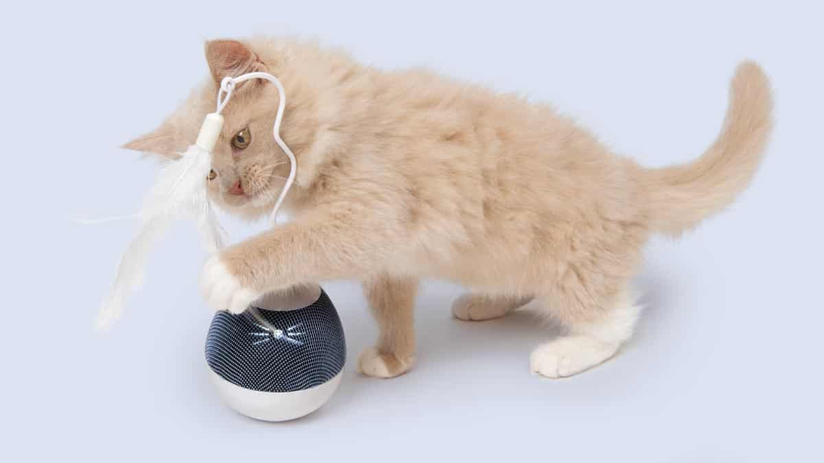 PIXI Spinner