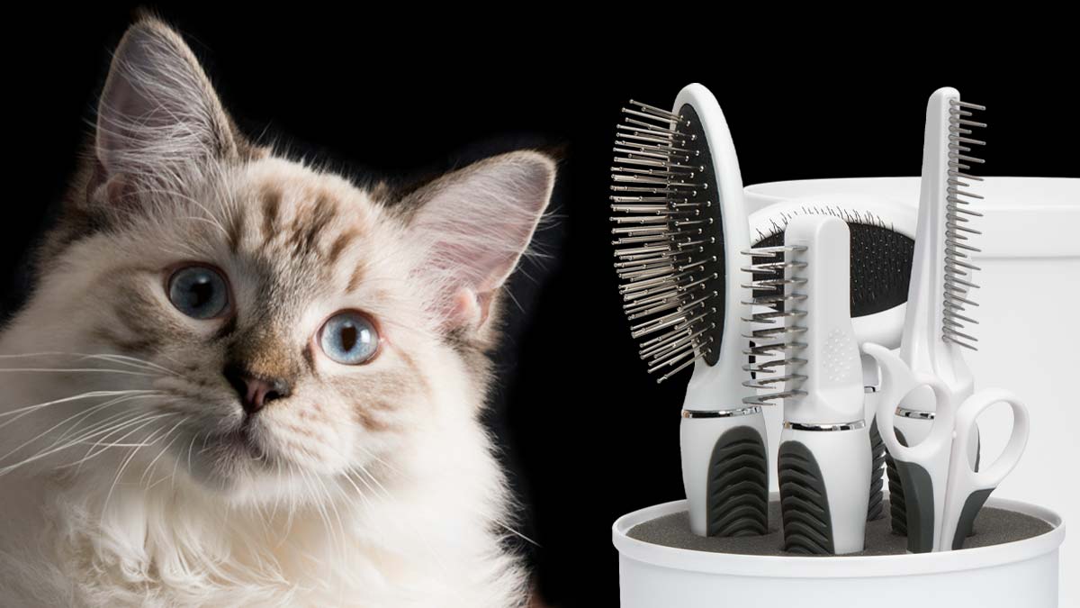 Longhair Grooming Kit