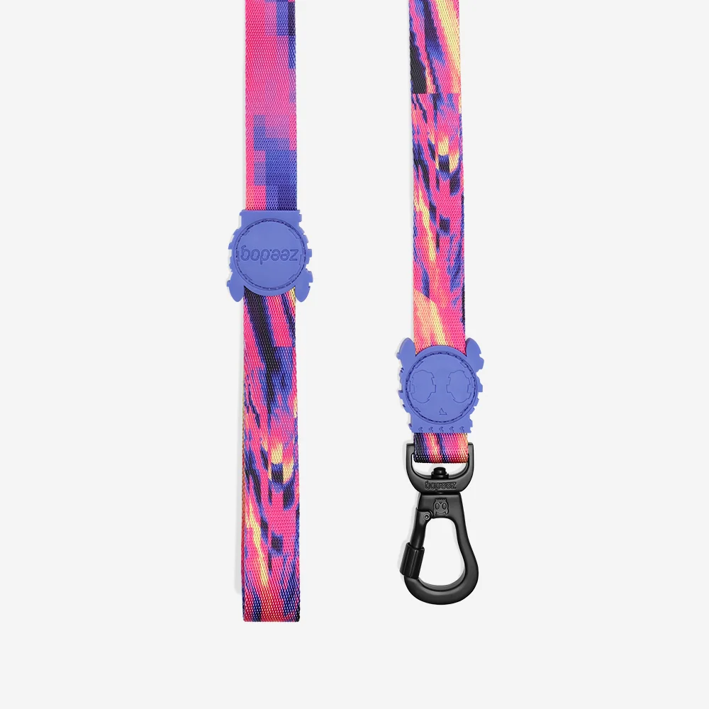 Error #500 | Leash