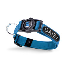 memopet® ID Customizable Blue Collar