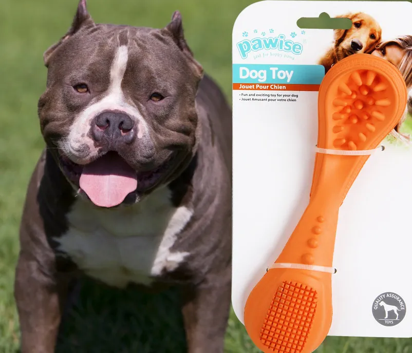 Brinquedo pet mordedor formato Colher borracha resistente para cães de grande porte Pawise