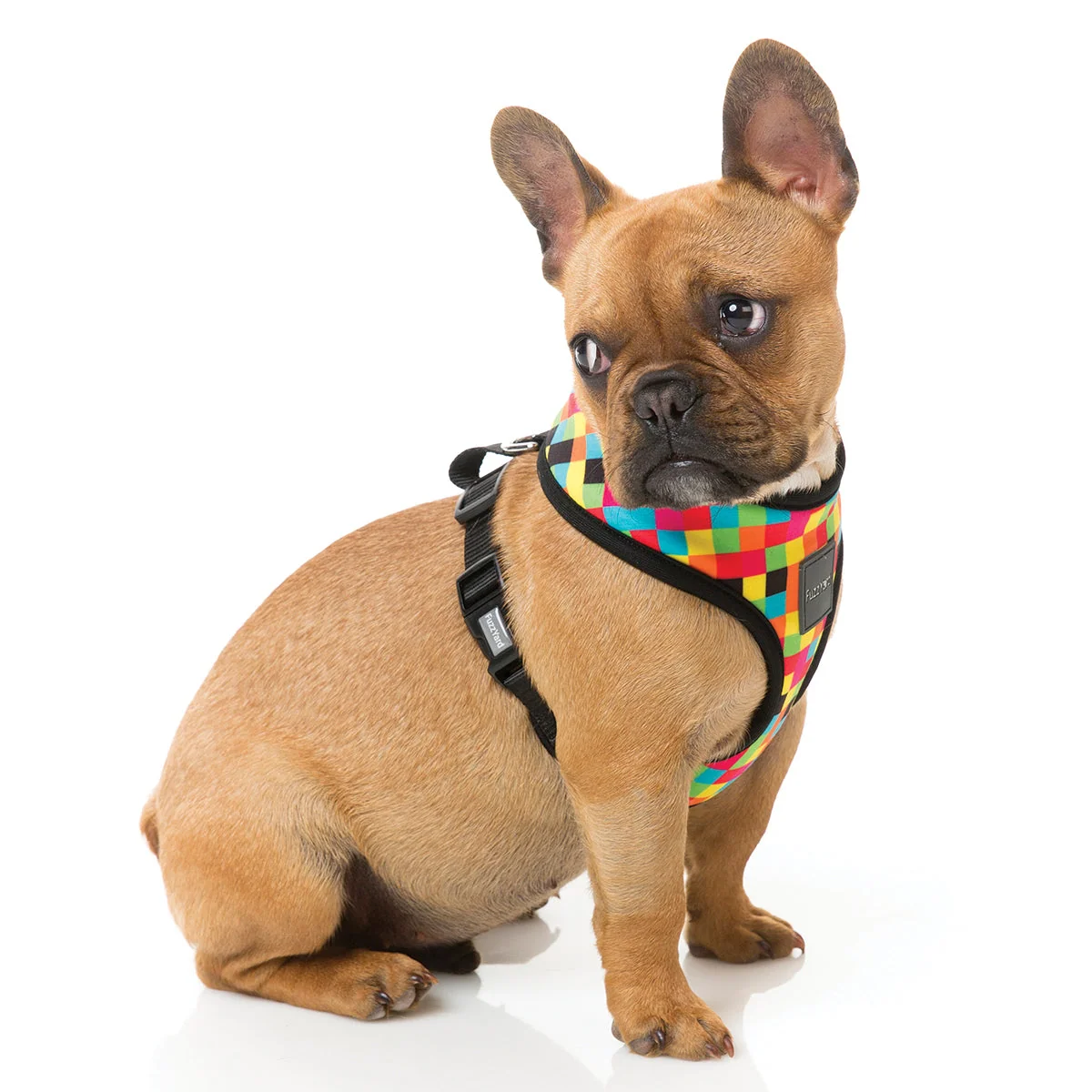 1983 Dog Harness