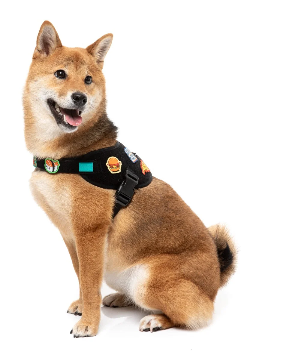 Rep It - Harness