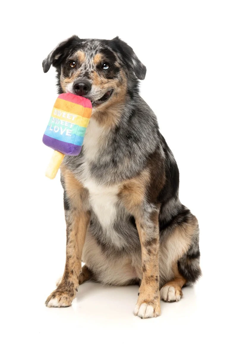 Love Icy Pole - Dog Toy