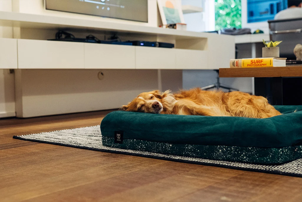 Green | Cama Cover