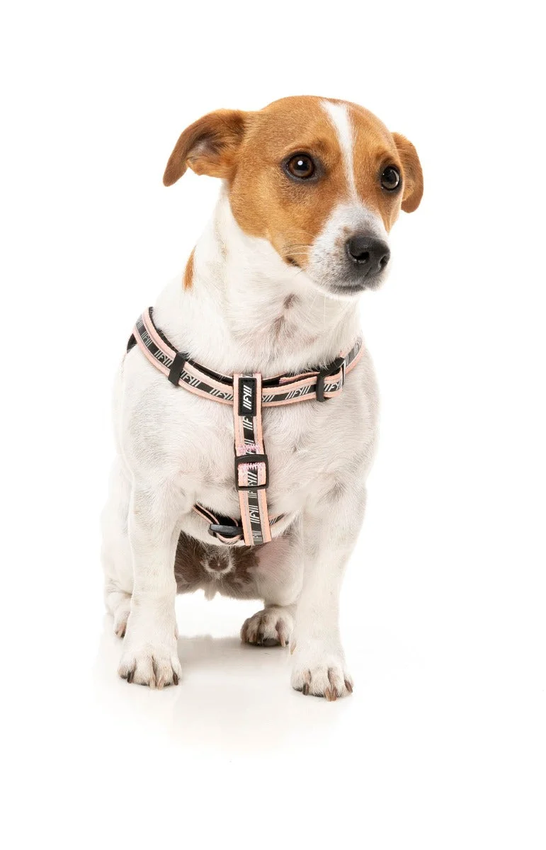 FY Active Strap Harness - Peach