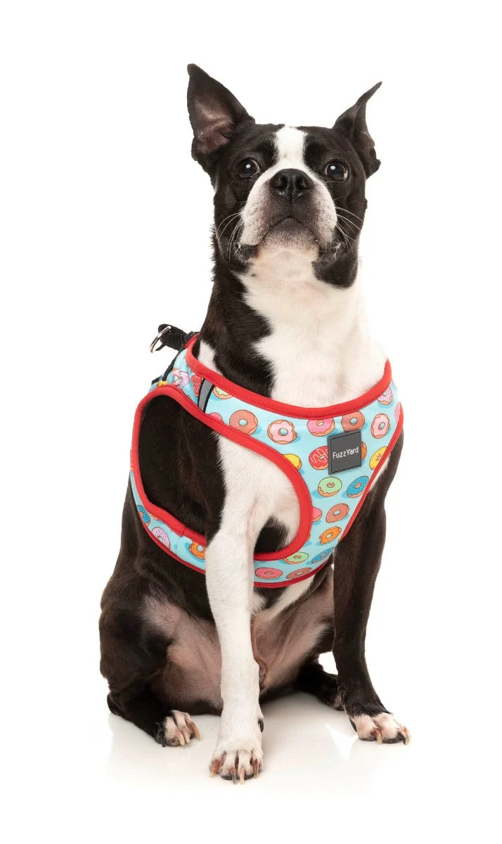 You Drive Me Glazy Step In Harness
