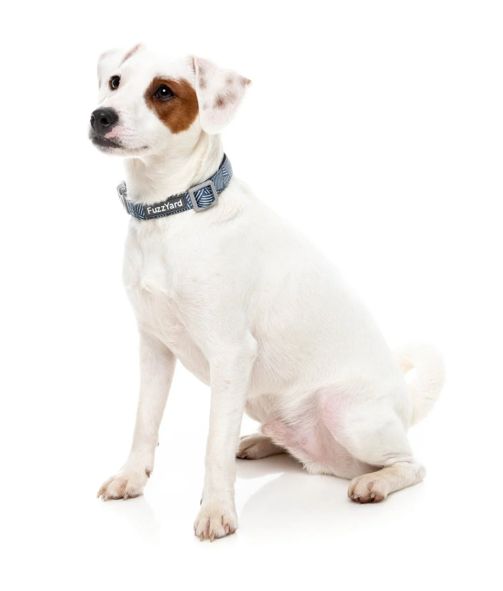 Thornbury - Aegean Blue - Dog Collar