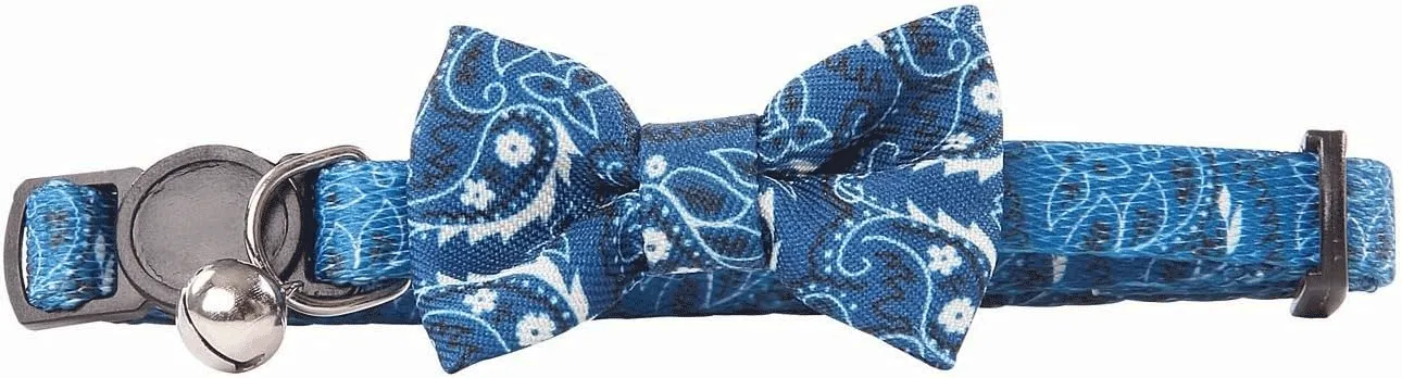COLEIRA DE GATOS - AZUL