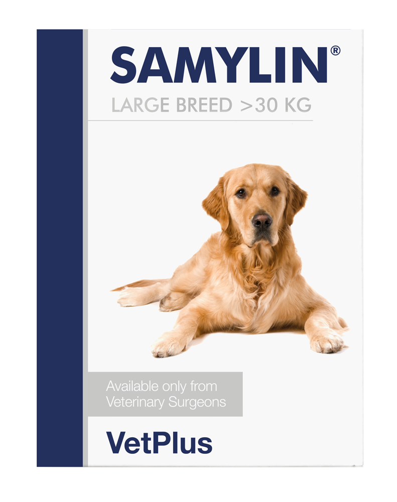 SAMYLIN® LARGE BREED SACHETS