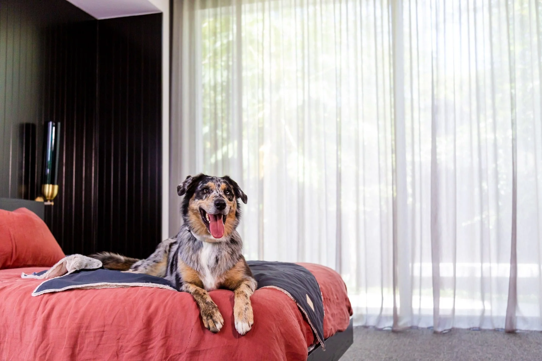 FuzzYard Life Pet Blanket - Slate Grey
