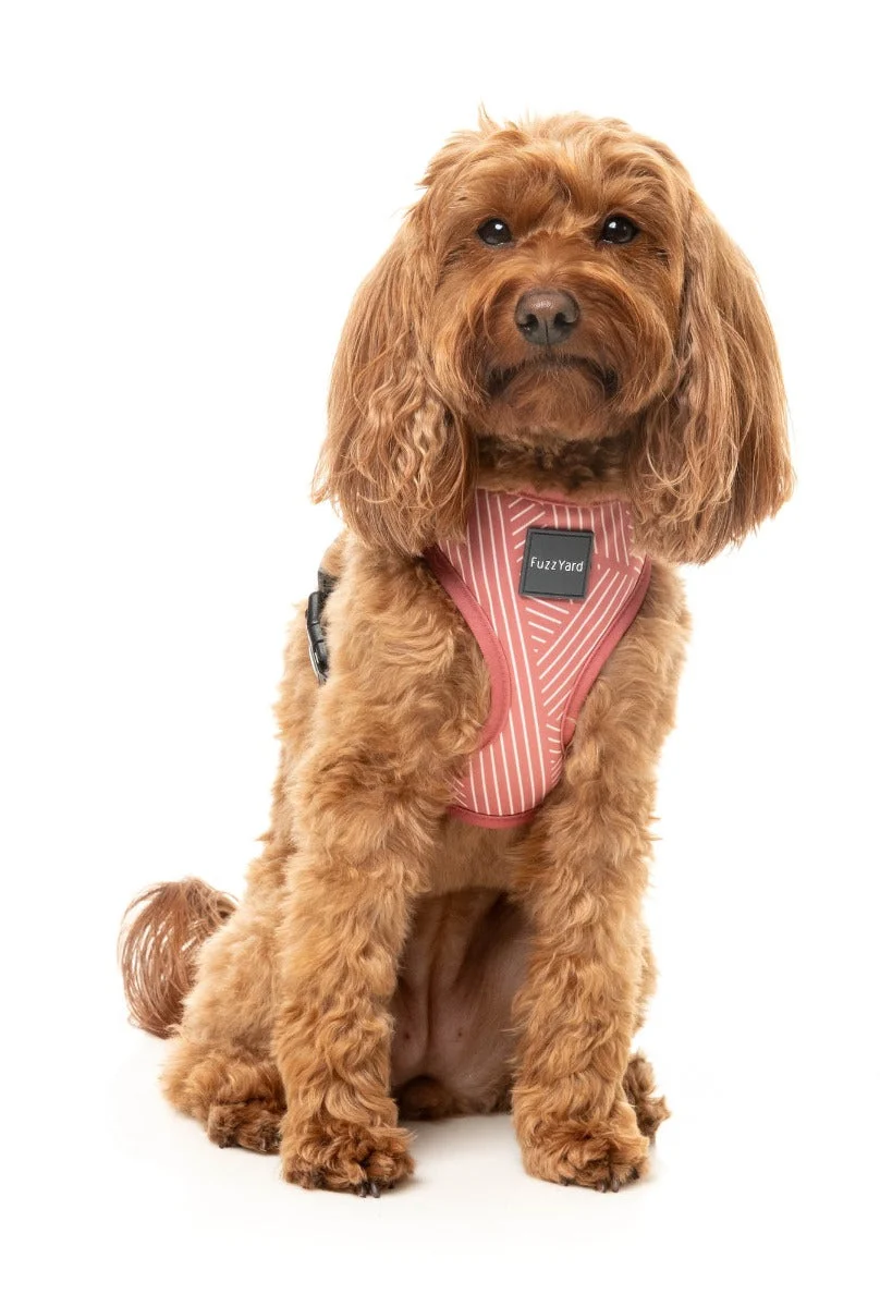 Thornbury - Brick Red - Dog Harness