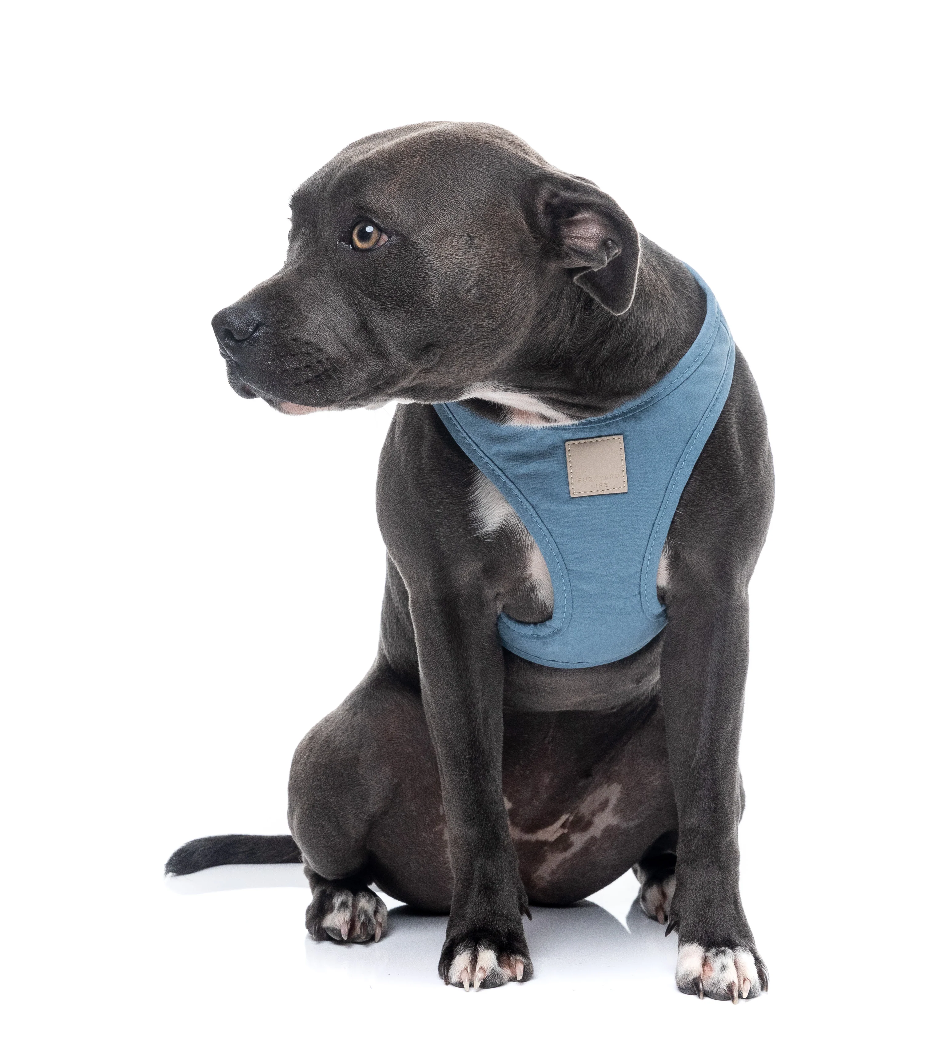 FuzzYard Life Step In Harness - French Blue