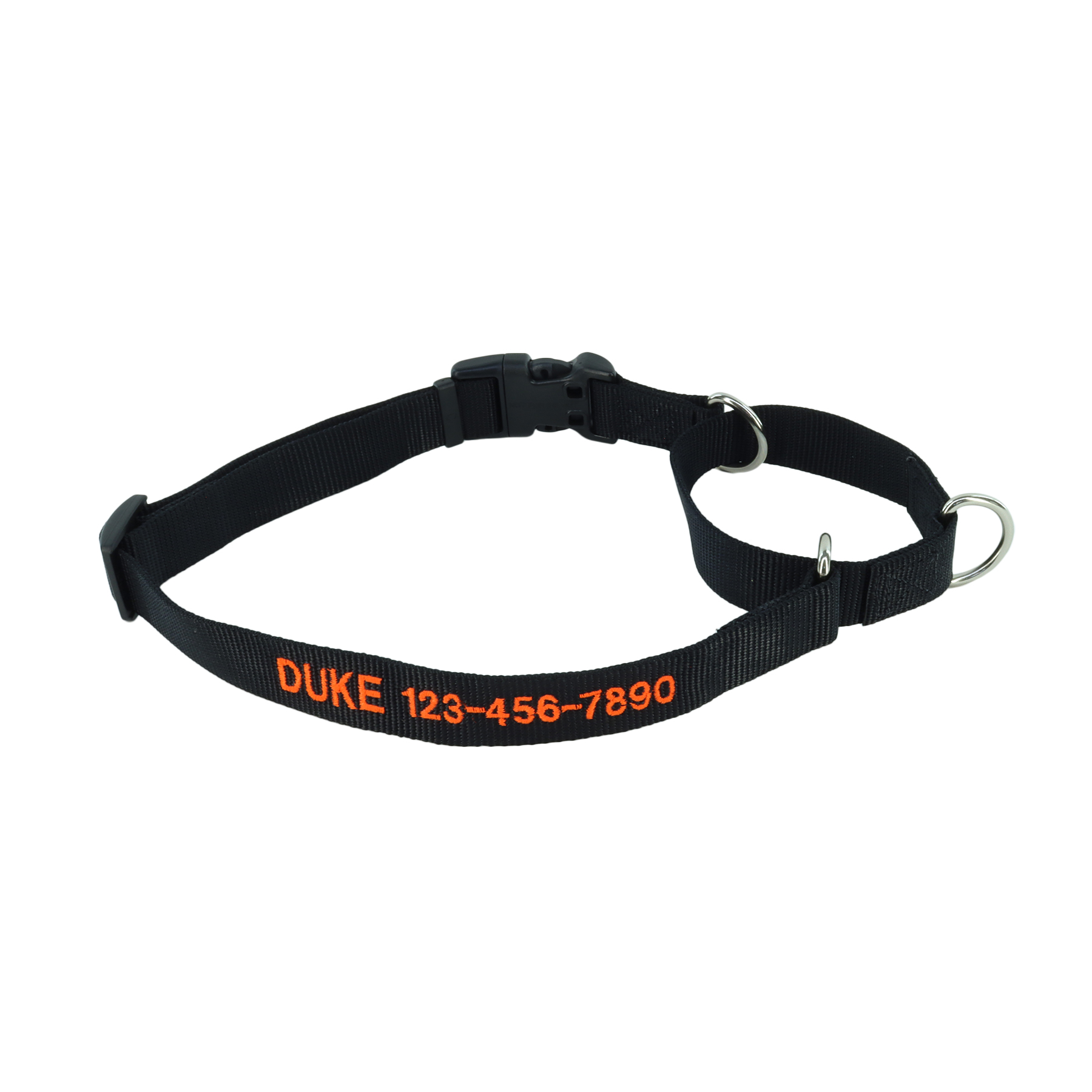 No! Slip Martingale Adjustable Dog Collar with Buckle - Personalized