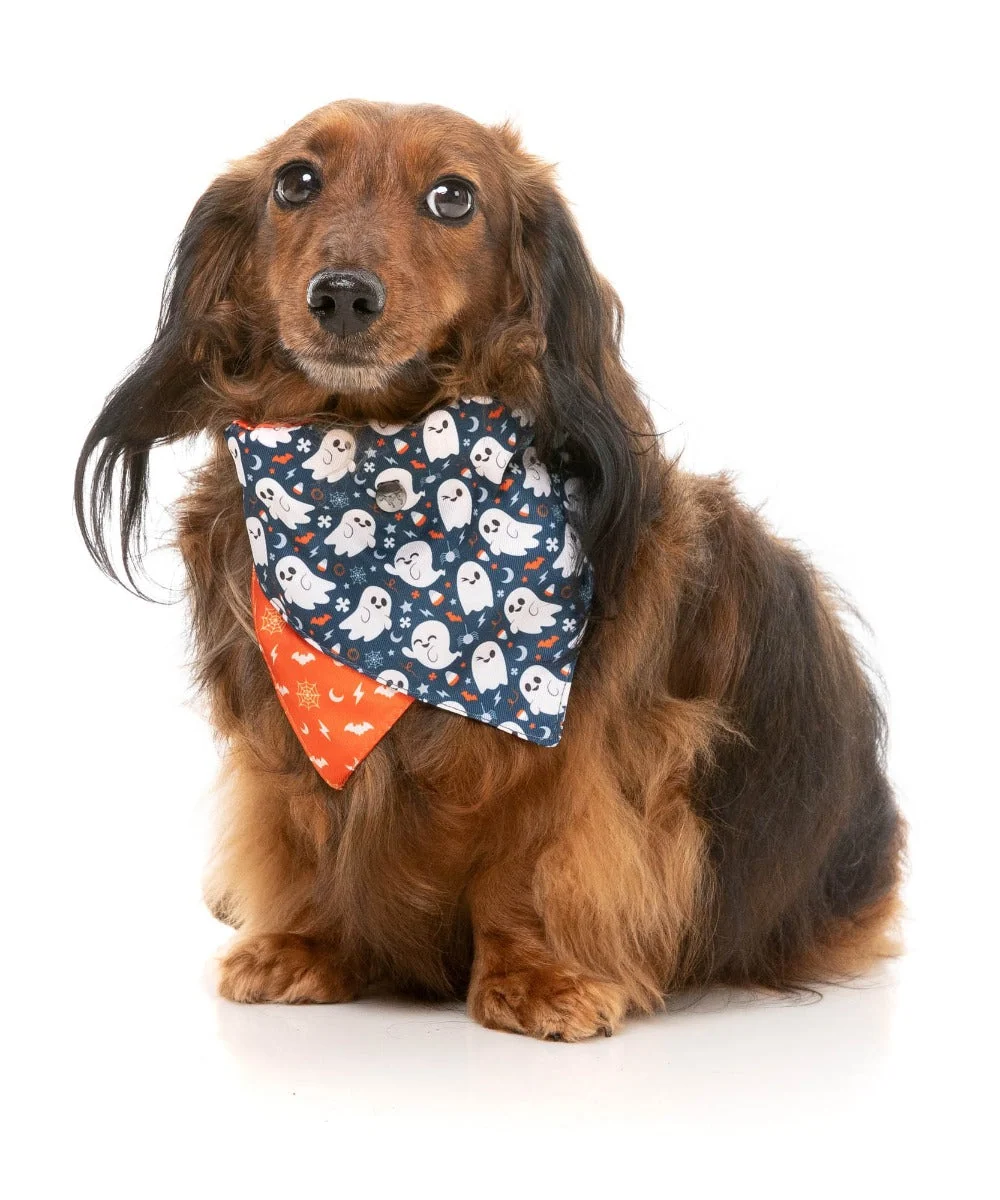 That's The Spirit - Dog 2 Pack