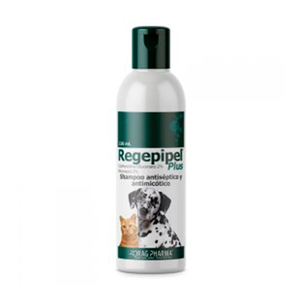 Regepipel® Plus