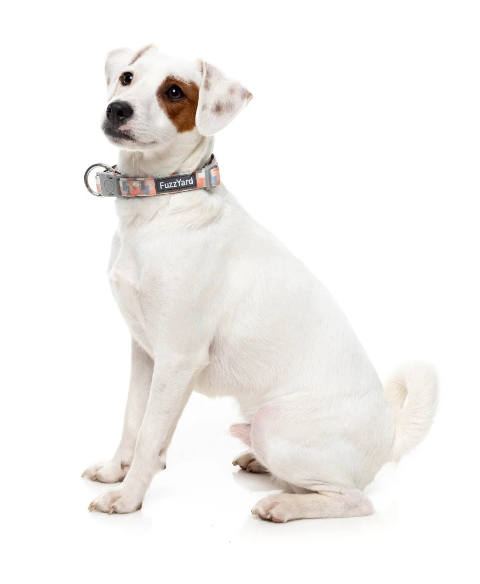 Yazd - Dog Collar