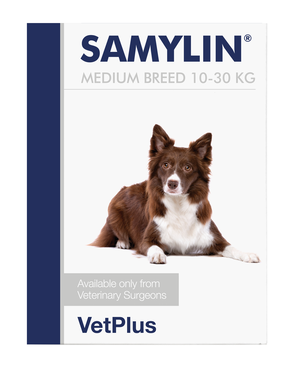 SAMYLIN® MEDIUM BREED SACHETS