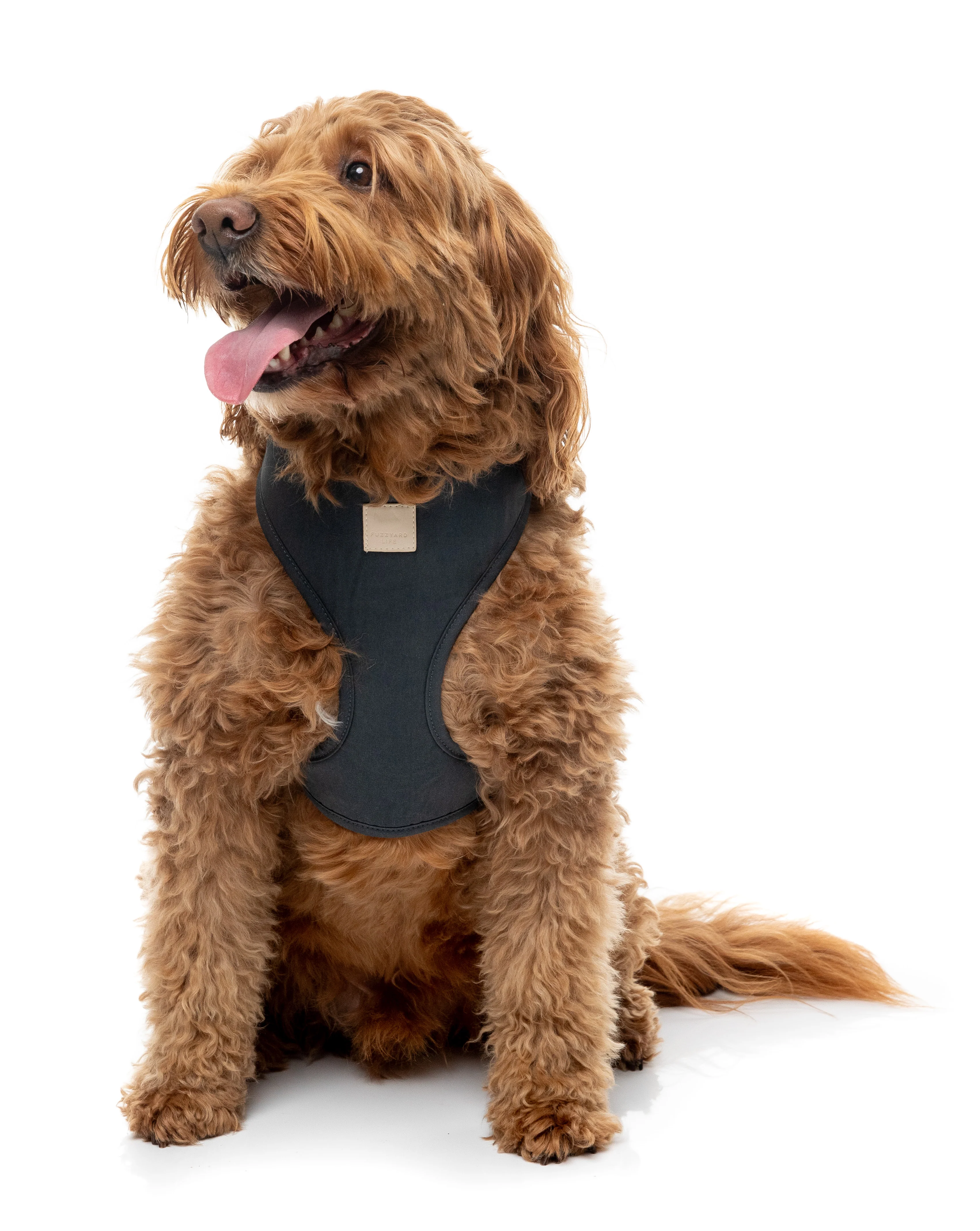 FuzzYard Life Harness - Slate Grey