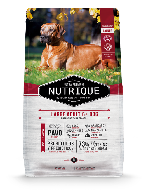 Nutrique Large Adult 6+ Dog