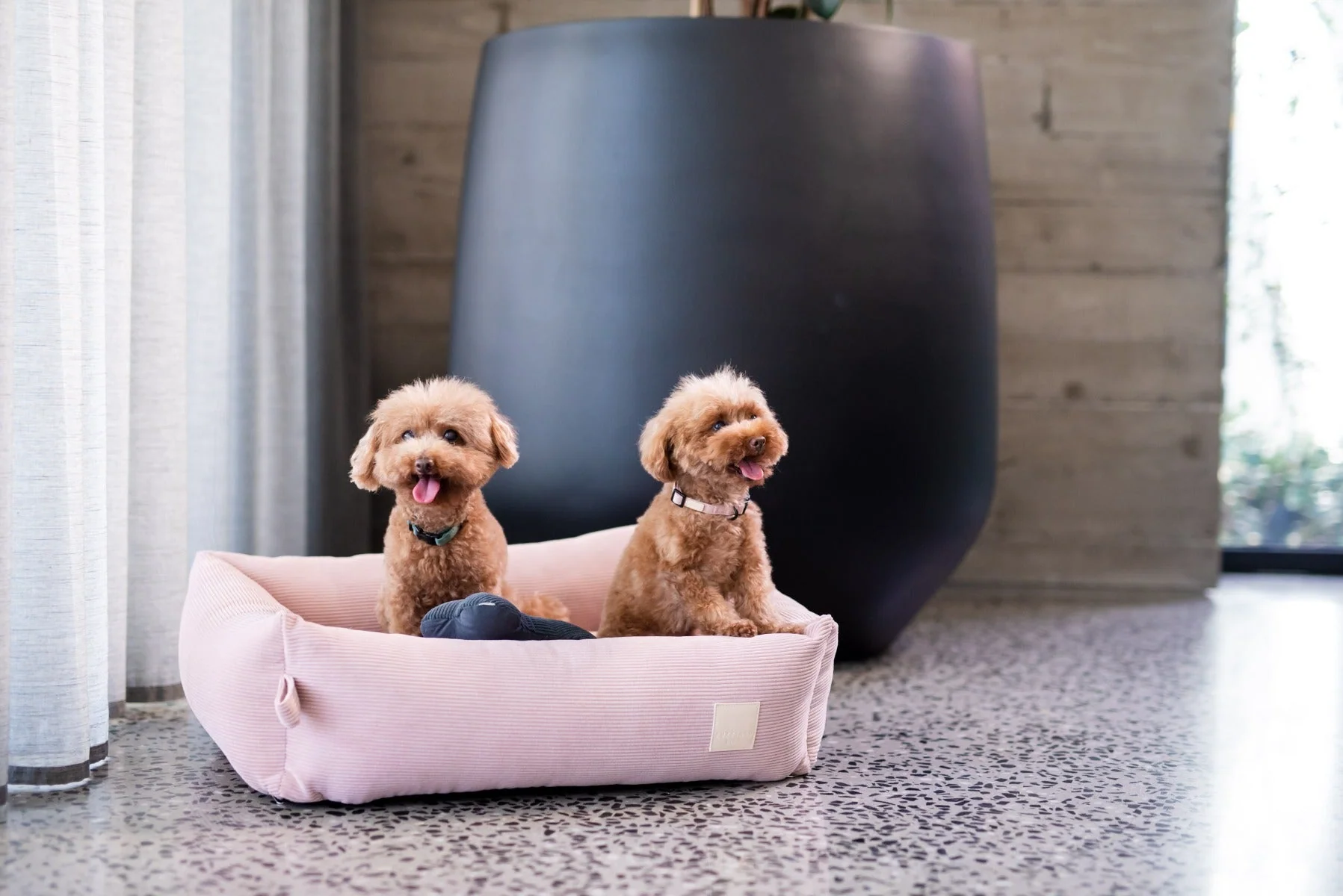 FuzzYard Life Bed - Corduroy Bed - Soft Blush