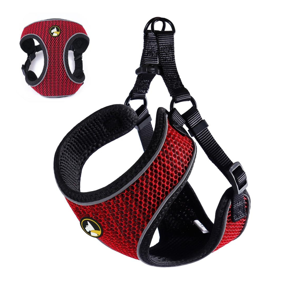 ARNES WONDER MAX S
