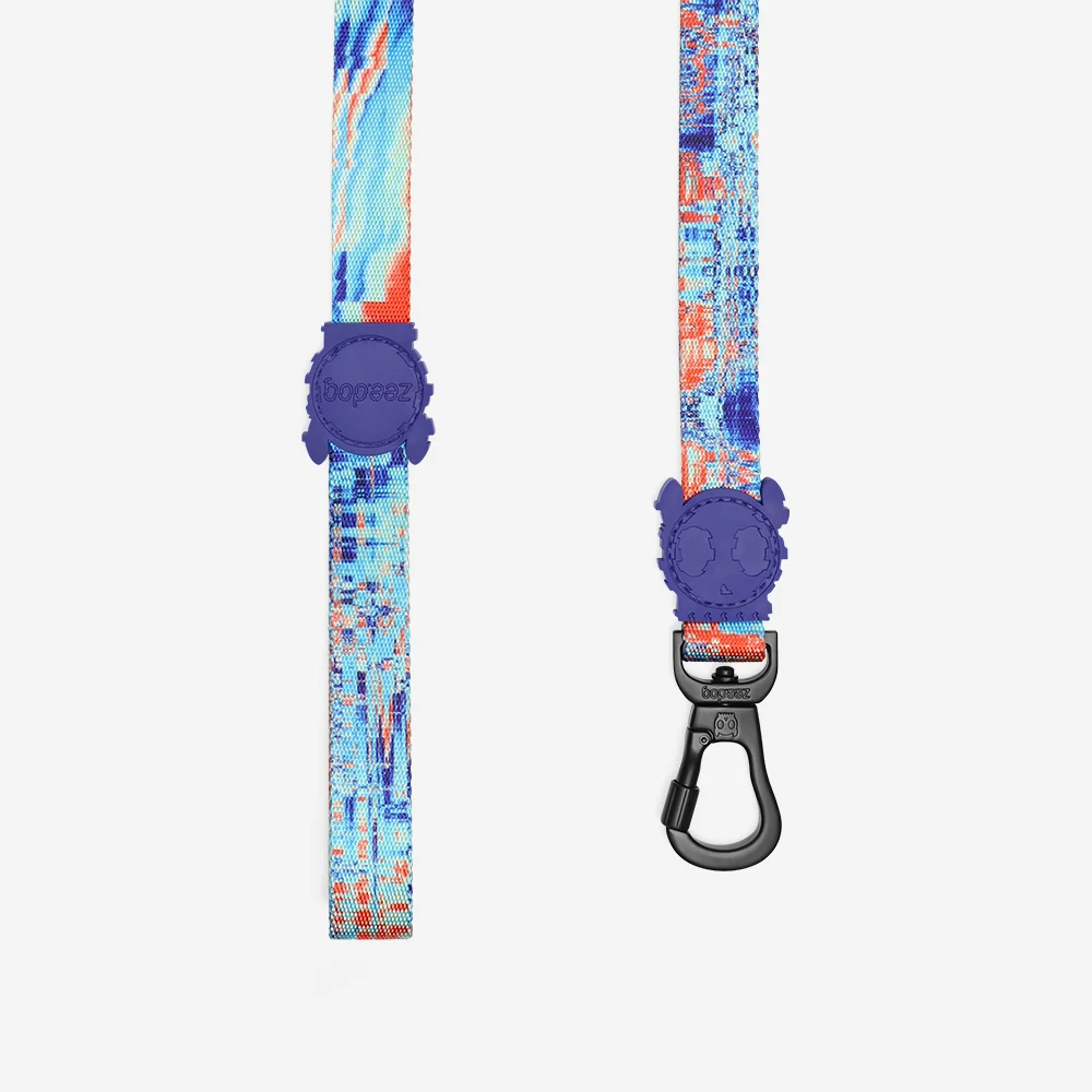 Error #404 | Leash