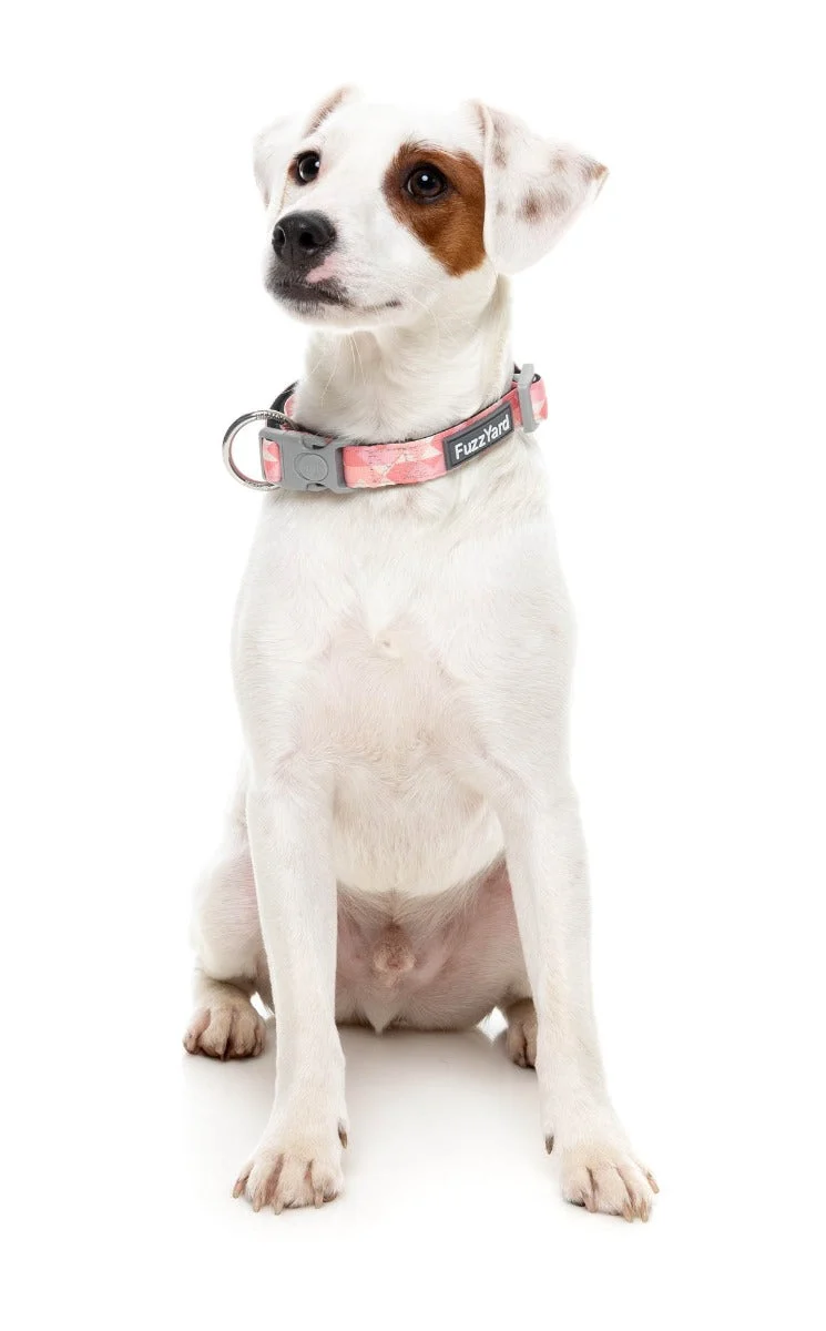Pink Lemonade - Dog Collar