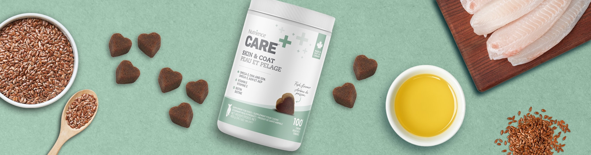Skin & Coat Dog Supplement