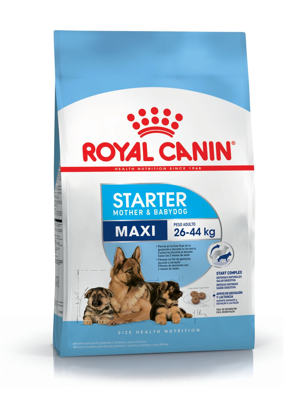 Maxi Starter