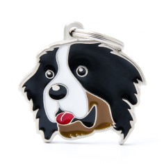 Friends Bernese ID Tag