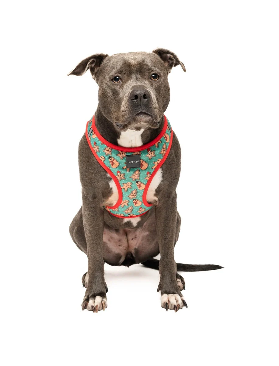 Cookies For Santa - Step In Harness