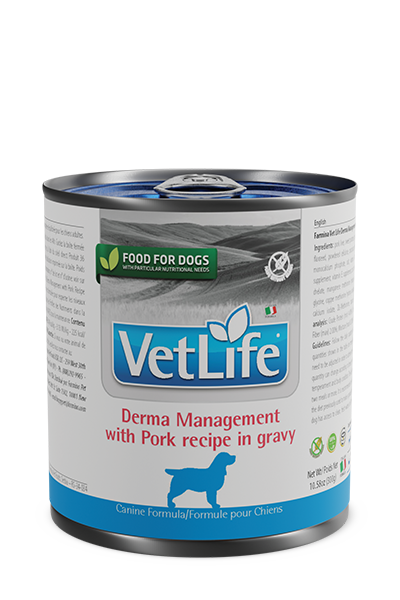 Derma Management with Pork in gravy canine