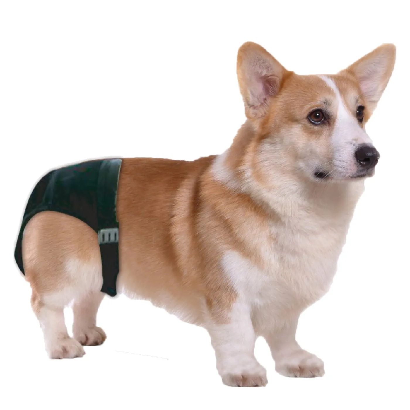 CALCINHA HIGIÊNICA 1 (24-31CM)