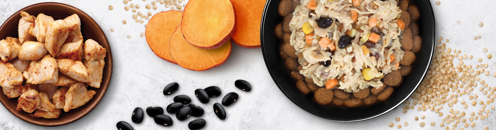 Homestyle Chicken & Quinoa Dog Food Topper