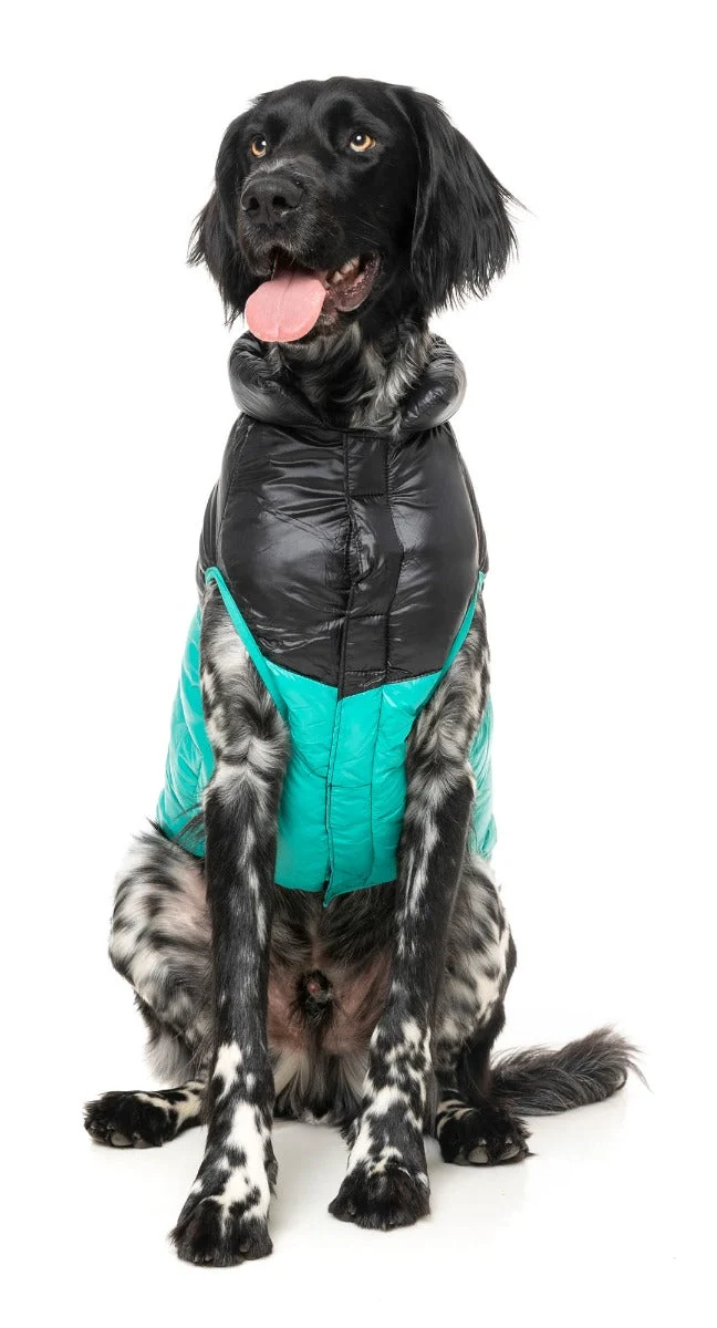 South Harlem Jacket - Teal