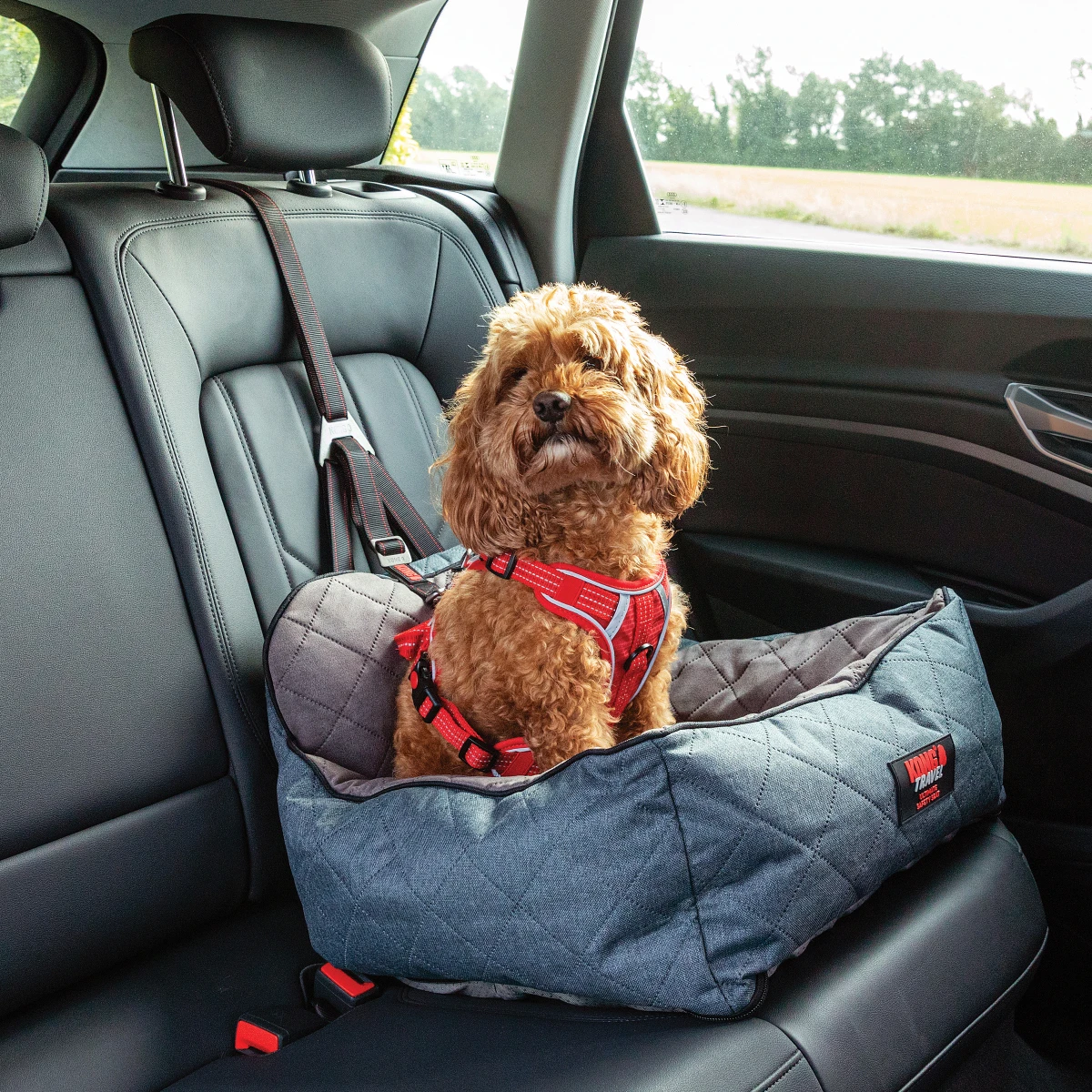 KONG Ultimate Safety Tether y Seat, Pequeño
