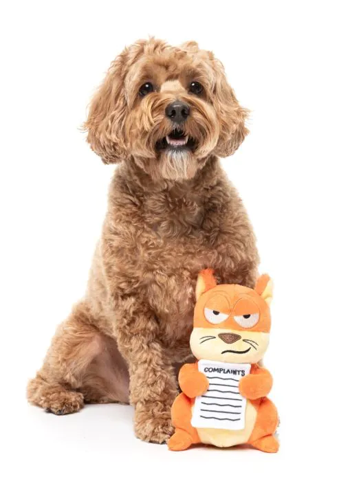 Dog Toy - Karen