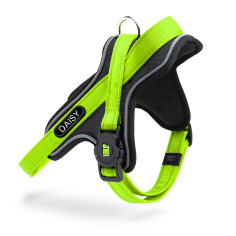 memopet® ID Customizable Green Y-Harness