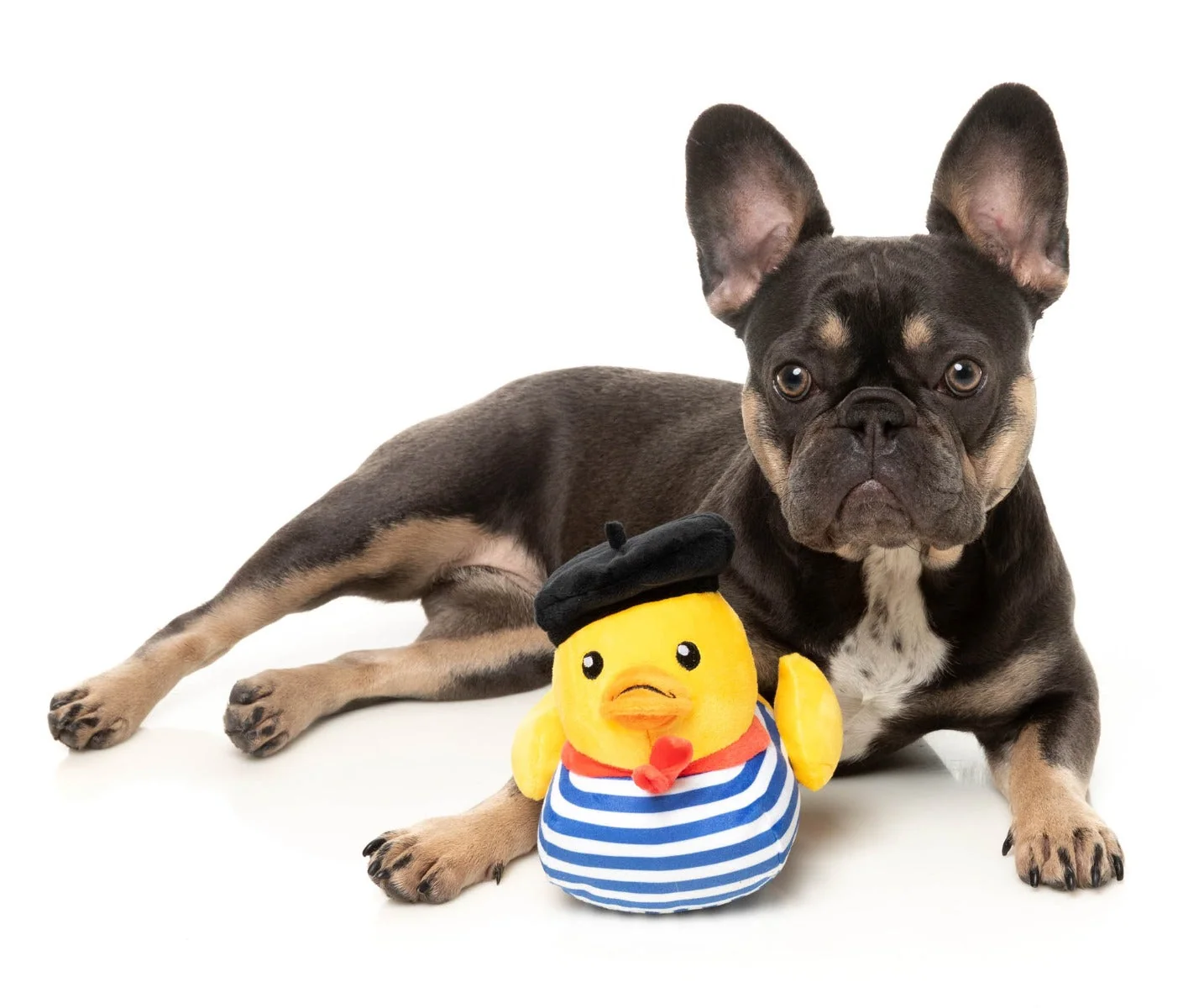 Timotheé Chalaquack - Dog Toy