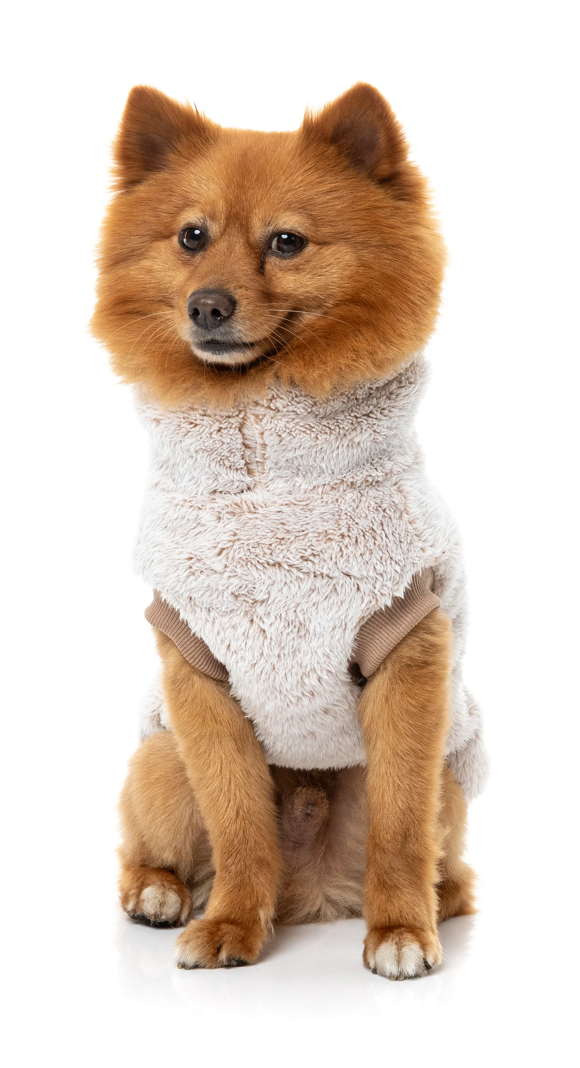 Frosted Teddy Sweater - Latte