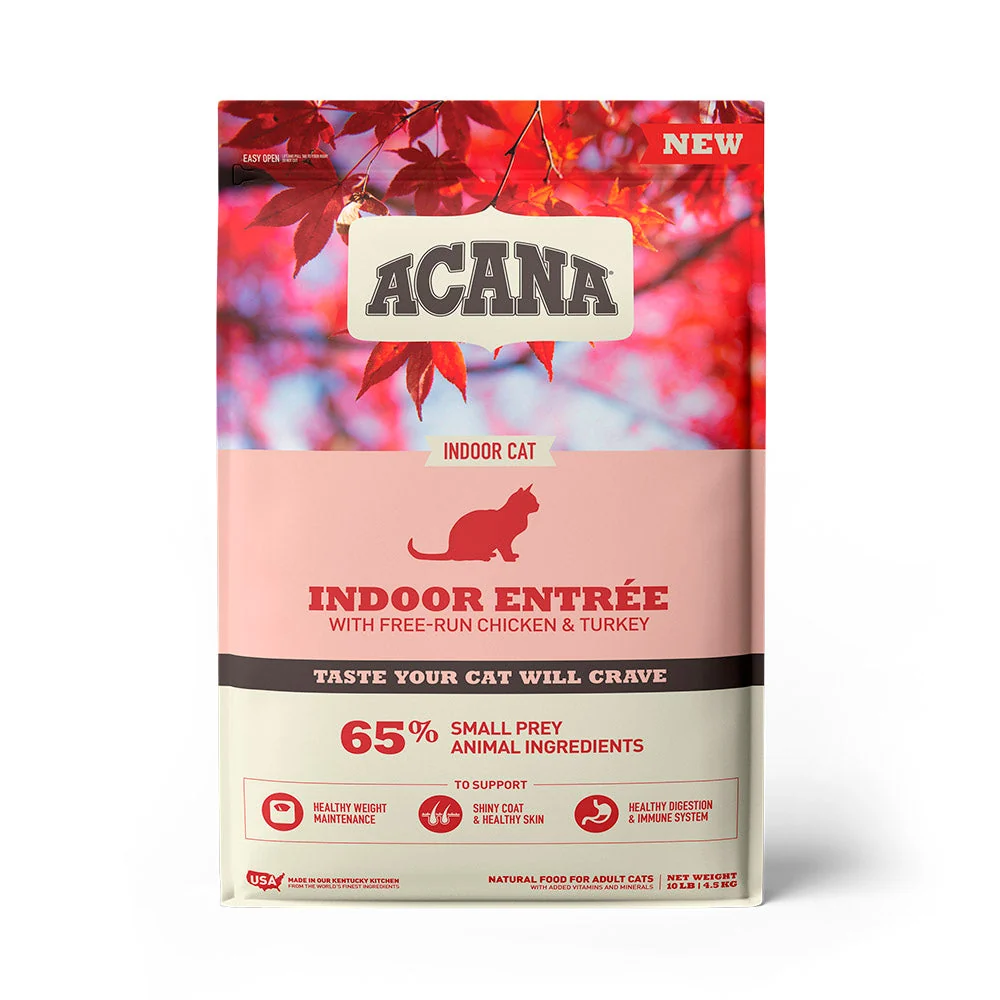 Indoor Entrée Recipe with Fish