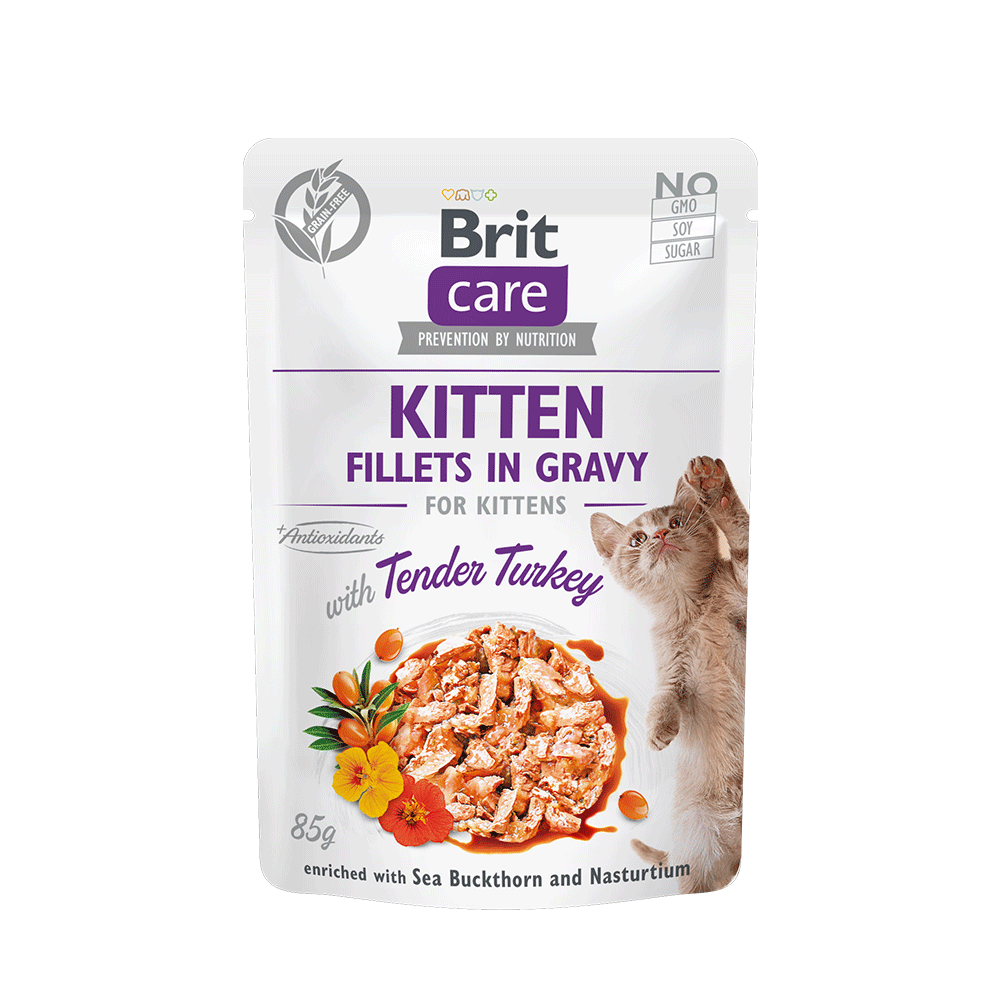 Brit Care Cat Pouch - Kitten Fillets in Gravy with Tender Turkey