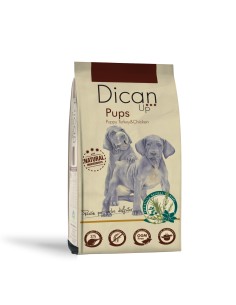 Dican Up Cachorro