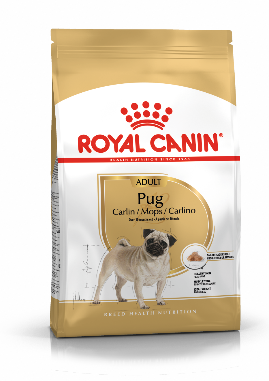 Pug Adulto